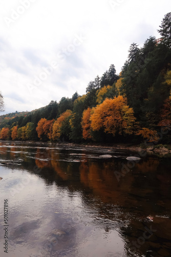 Fototapeta Naklejka Na Ścianę i Meble -  autumn on the river