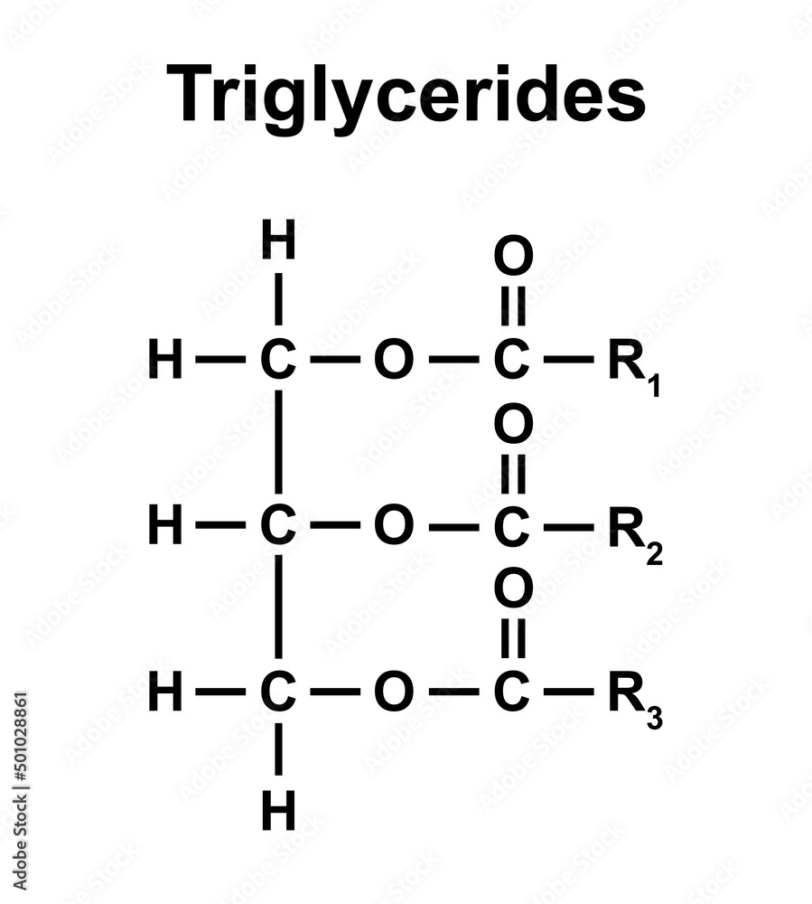 Vecteur Stock Chemical Structure Of Triglycerides Vector Illustration vecteur-stock-chemical-structure-of-triglycerides-vector-illustration