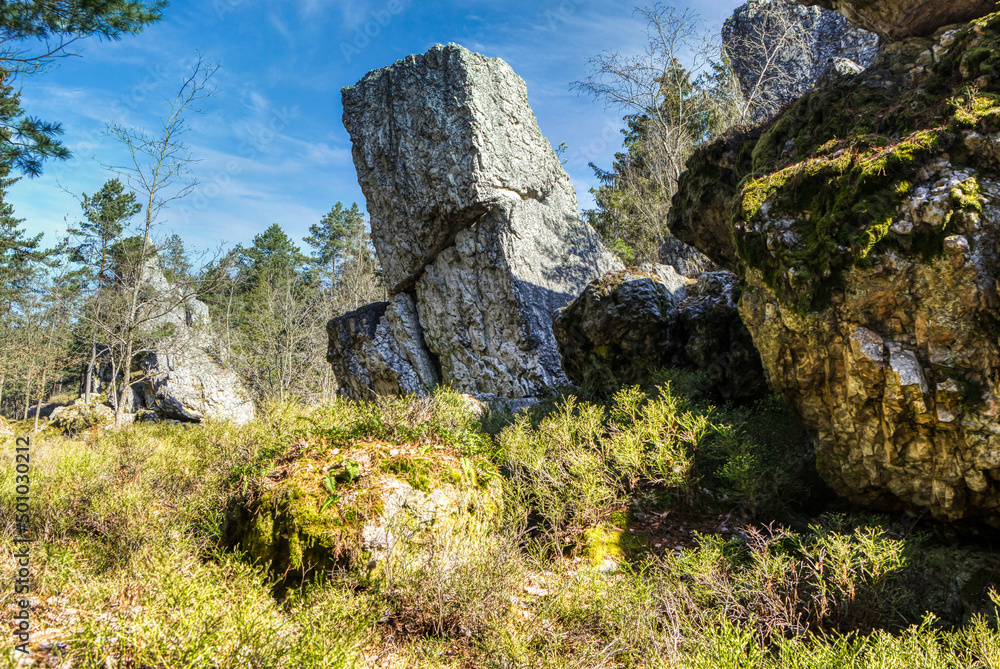 Rocks and hiking trail of the natural monument Pfahl (pole) near Viechtach, a small village in the bavarian forest Rocks and hiking trail of the natural monument Pfahl (pole) near Viechtach, a small village in the bavarian forest