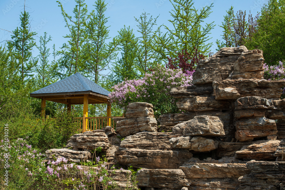 The flowers and leaves cover the rockery The flowers and leaves cover the rockery