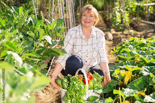 Positive mature woman posing with basket full of harvested vegetables and greens at smallholding photo