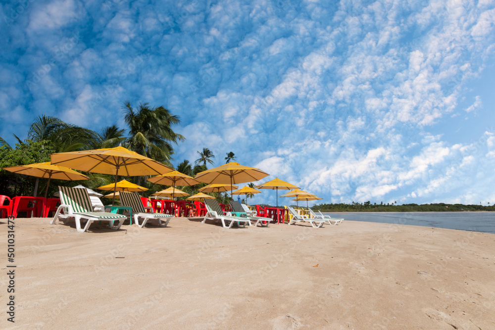 Tropical landscape with coconut palm beach on the island of Boipeba Bahia Brazil