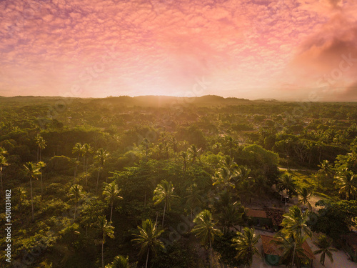 Drone aerial view of sunset over coconut trees in Ilheus Bahia Brazil © Gustavo