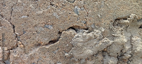 close up of a snake in the sand