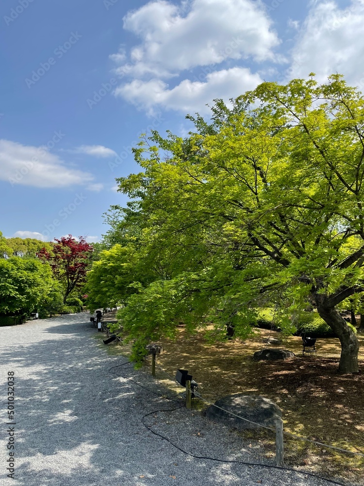 Naklejka premium Green on right