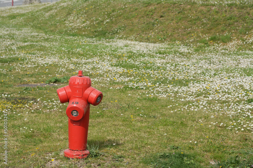 Borne à incendie sur fond de pelouse verte semée de pâquerettes blanches. Borne à incendie sur fond de pelouse verte semée de pâquerettes blanches.