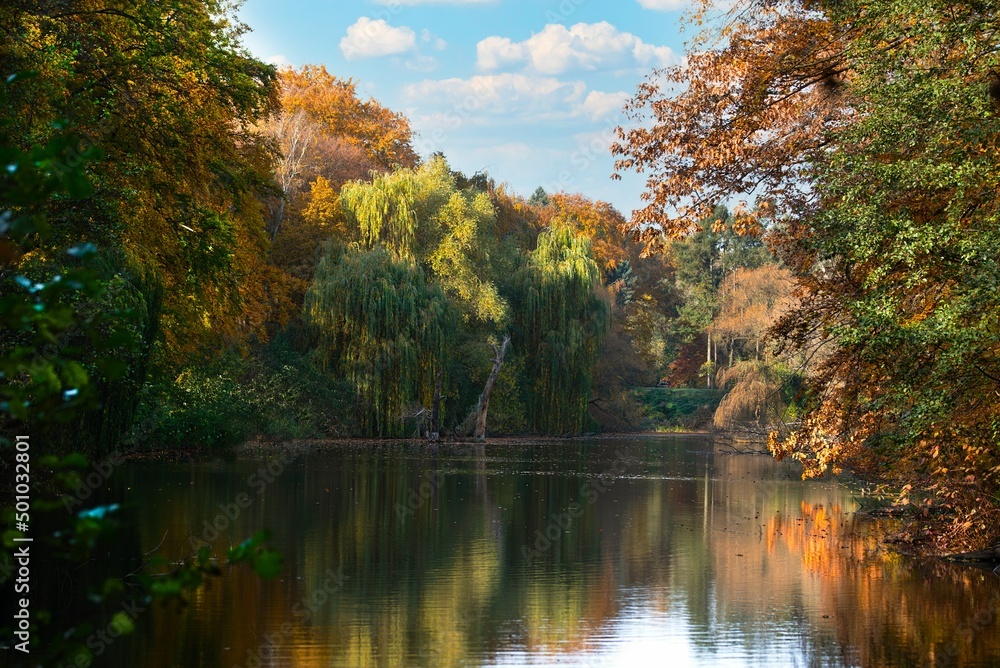 Fototapeta premium autumn in the park