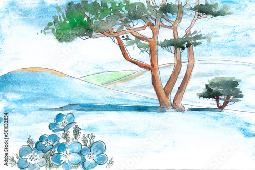 watercolor drawing blooming nemophilas or Baby Blue Eyes on Miharashi Hill in Hitachi Seaside Park photo