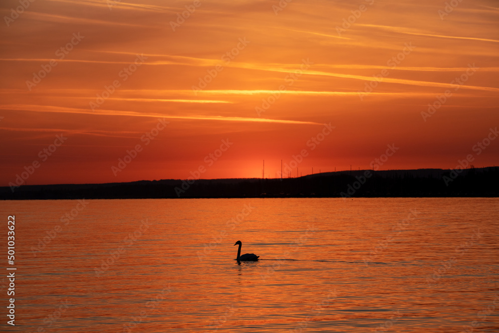 a beautiful twilight on the lake