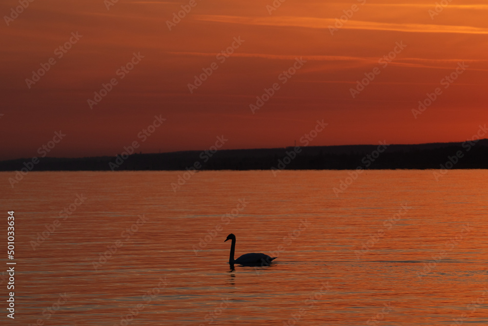a beautiful twilight on the lake