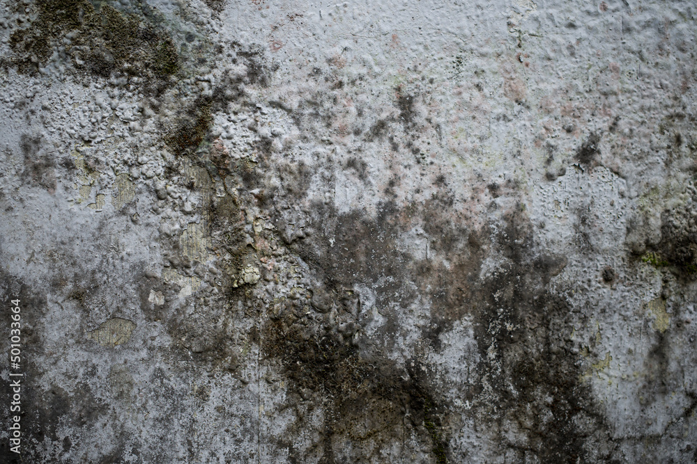 stone wall stone wall
