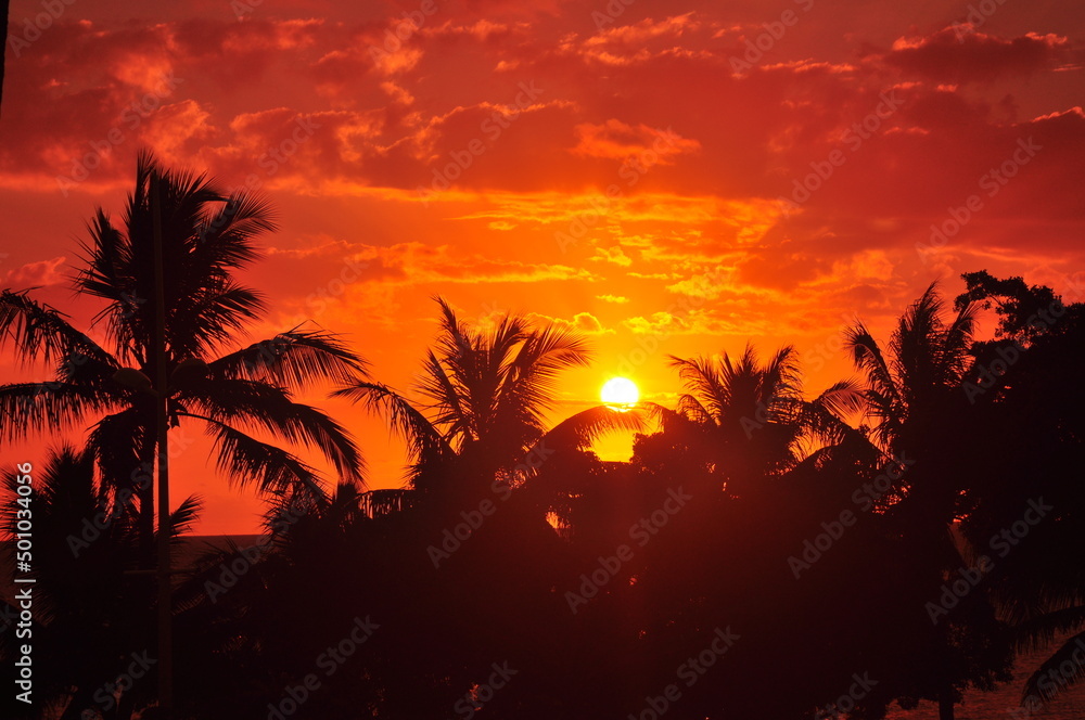 ニューカレドニアの美しい夕焼け
