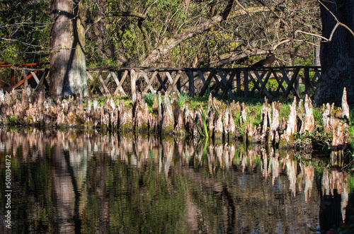 Landscape of the Vacratot Botanical Garden - Hungary