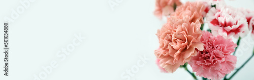 Bouquet of beautiful carnations on white background with space for text, closeup