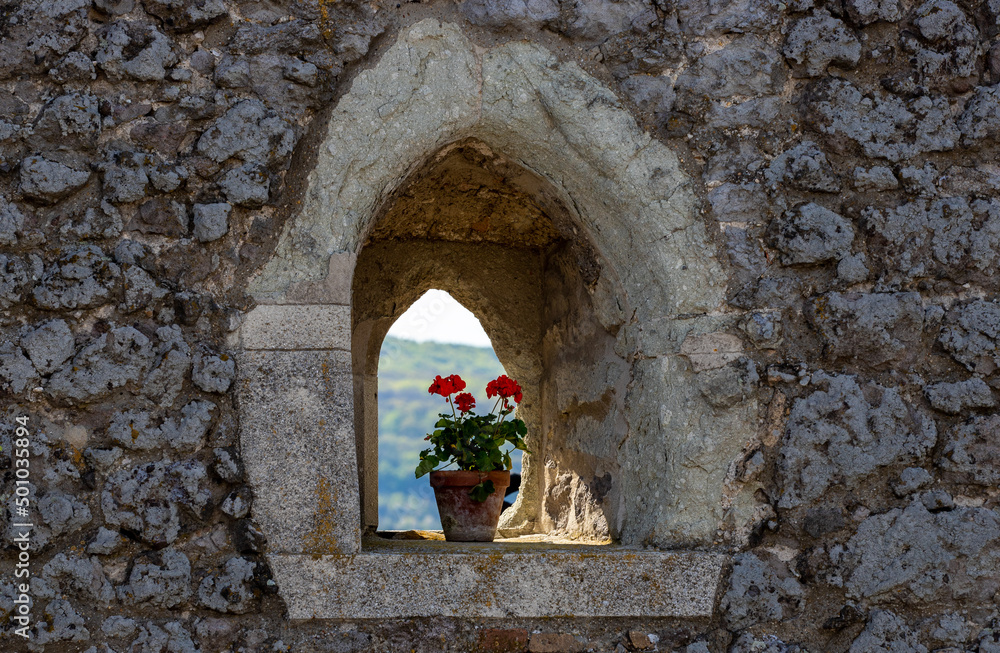 A pot with a red flower in an old window