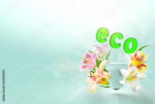 花と電球のクリーンエネルギーイメージ The concept of clean energy. Light bulb and flower.	