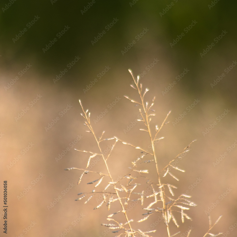 In the late afternoon In the late afternoon