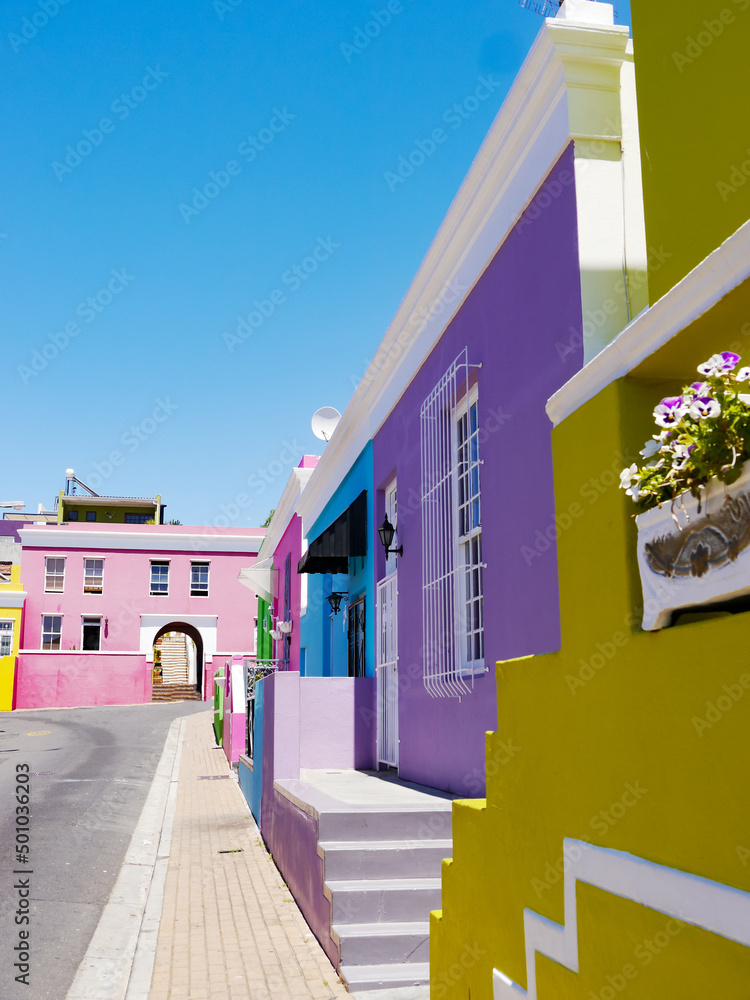 colorful houses in cape town - obrazy, fototapety, plakaty 