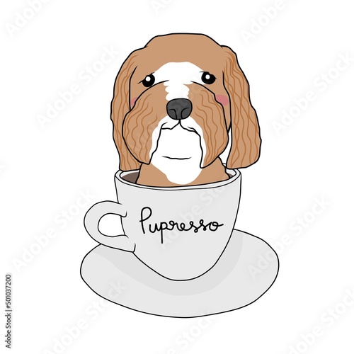 Poodle dog in coffee cup with Pupresso word cartoon vector illustration	