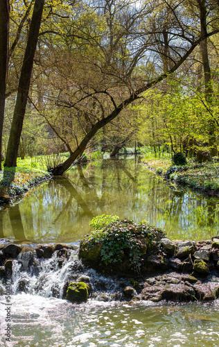 Landscape of the Vacratot Botanical Garden - Hungary photo