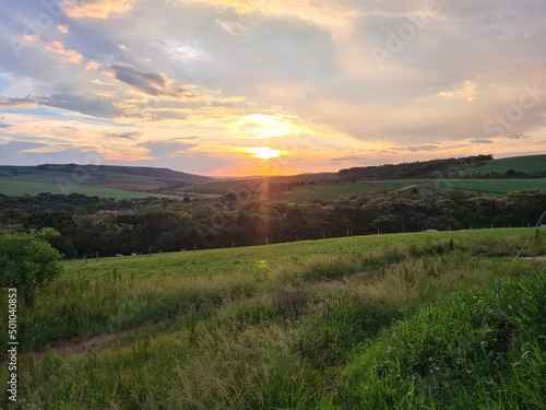 sunset over the field