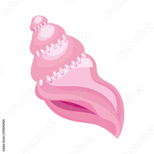 pink sea shell