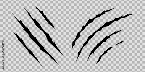 Claw scratches of wild animal. Cat scratches marks isolated in transparent background. Monochrome vector illustration
