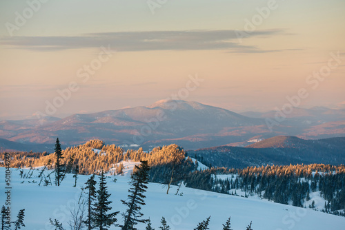 Sunset on mountain ranges overgrown with coniferous forest, evening light