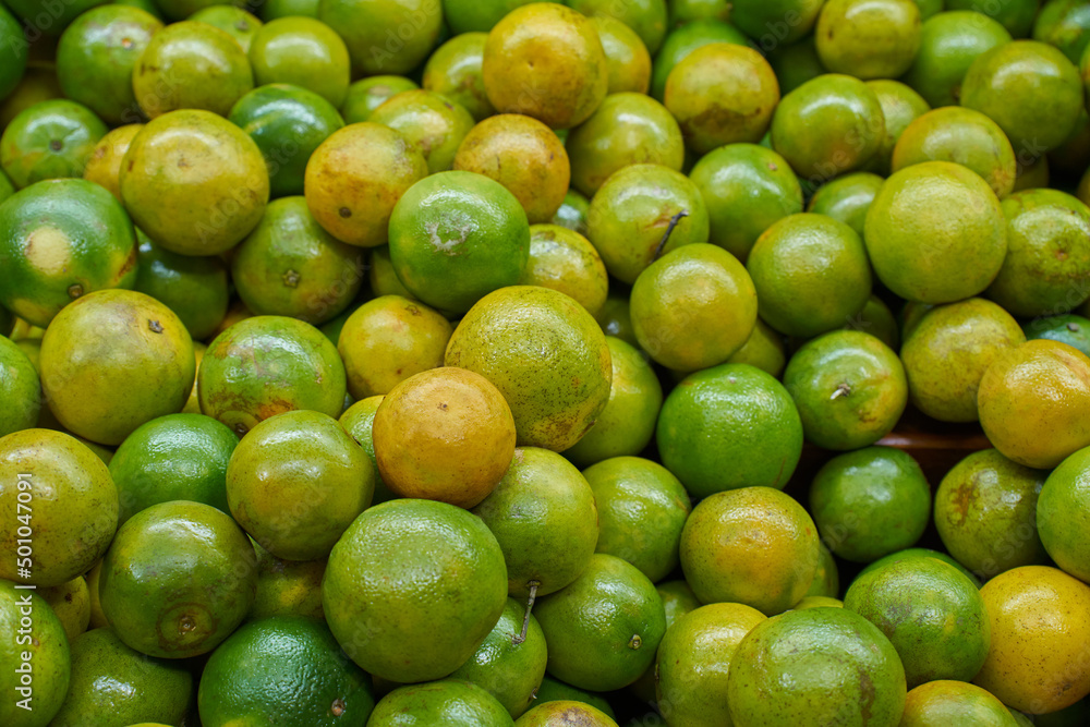 Yellow oranges placed on a shelf for sale within a market Yellow oranges placed on a shelf for sale within a market