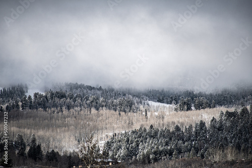 fog in the mountains © Charlie
