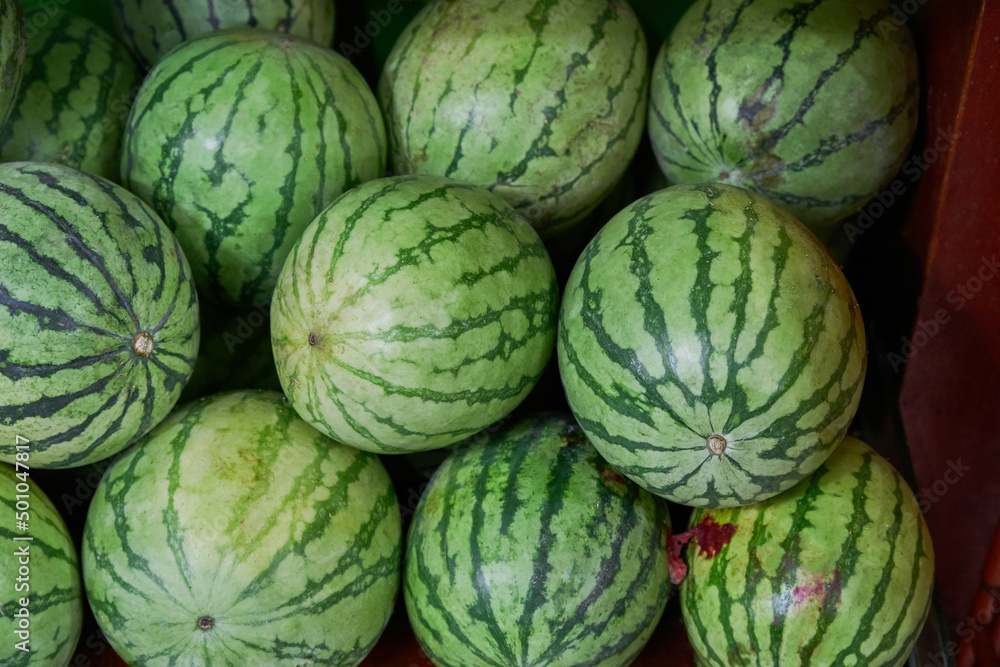 Watermelons stacked and placed on a shelf for sale within a market