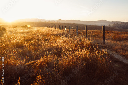 Golden hour on a grassy field with posts