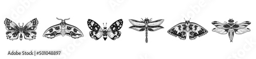 Moth tattoo set. Butterfly dragonfly vector black art. Universe wing moth. Celestial occult moon sketch. Line animal drawing design. Esoteric totem boho insect with space wings. Occult astrology print