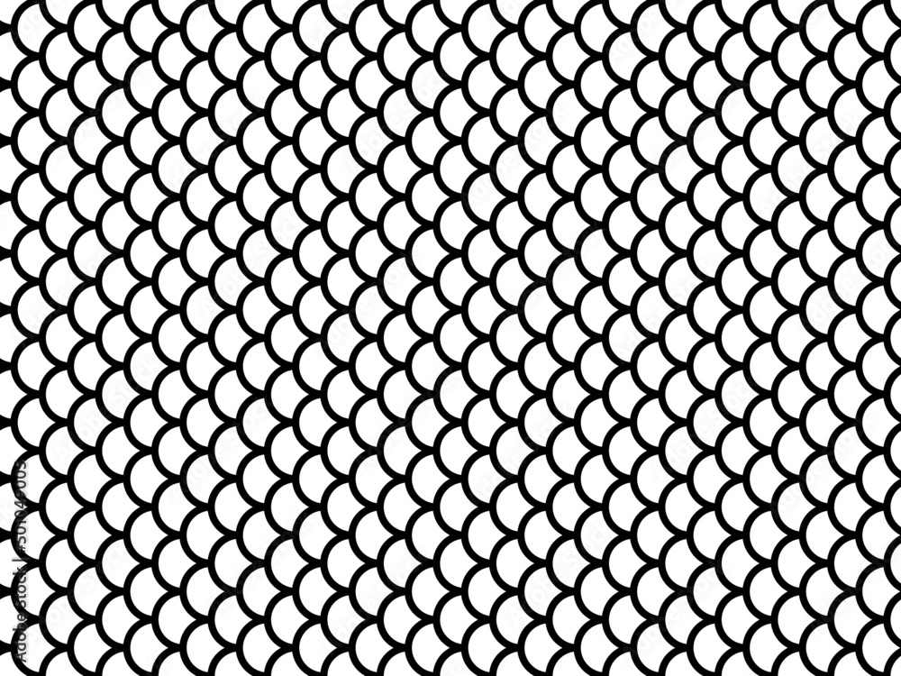 Fototapeta premium outline fish scale seamless pattern.hand drawing fish skin pattern
