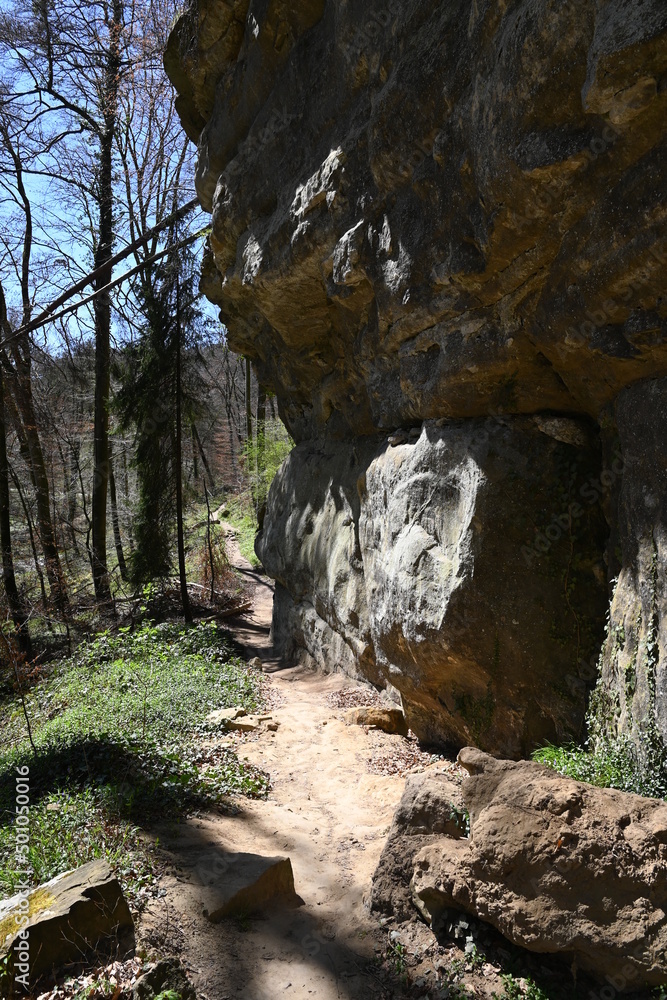 Wanderweg durch den Wald im Müllerthal (Mellerdal) in Luxemburg Wanderweg durch den Wald im Müllerthal (Mellerdal) in Luxemburg