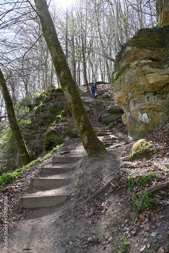 Wanderweg durch den Wald im Müllerthal (Mellerdal) in Luxemburg photo