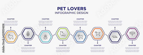 pet lovers concept infographic template with 8 step or option. included tibetan mastiff, madagascan, corgi, bichon, afghan hound, pet collar icons for abstract background.