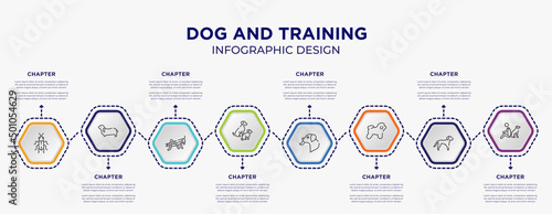 dog and training concept infographic template with 8 step or option. included red soldier beetle, bas hound, dog and doggie, dog licking, bichon frise, and man seating icons for abstract background.