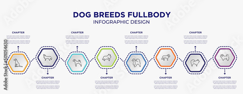 dog breeds fullbody concept infographic template with 8 step or option. included pointer dog, bernese mountain dog, sheltie, japanese chin, st bernard, shih tzu icons for abstract background.