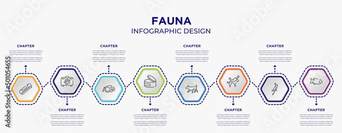 fauna concept infographic template with 8 step or option. included pet comb, pet first aid, canned food, dog running, washing the dog, big piranha icons for abstract background.