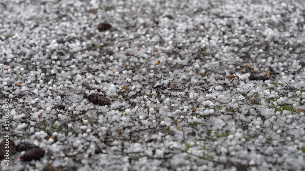 A sudden and unexpected popcorn hail storm covered the ground in white bouncing pellets A sudden and unexpected popcorn hail storm covered the ground in white bouncing pellets