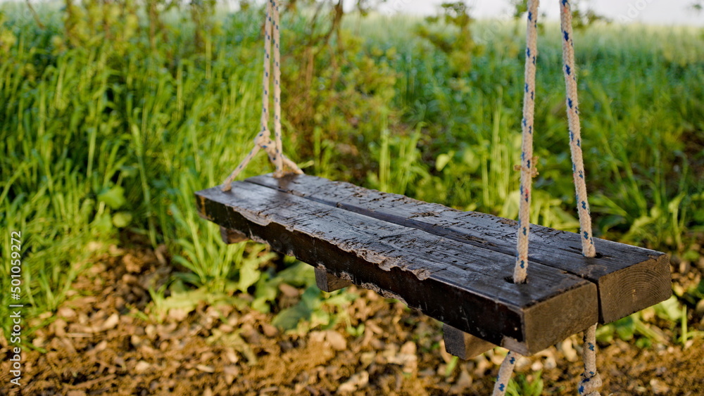 Fototapeta premium hanging wooden swing in the garden