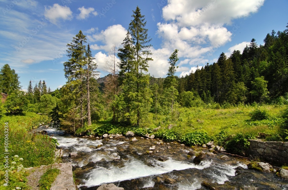 Obraz premium Dolina Bystrej landscape with river