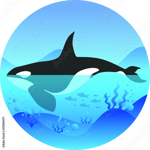 Orcinus orca and reefs in ocean. World Ocean Day. Colored vector illustration.