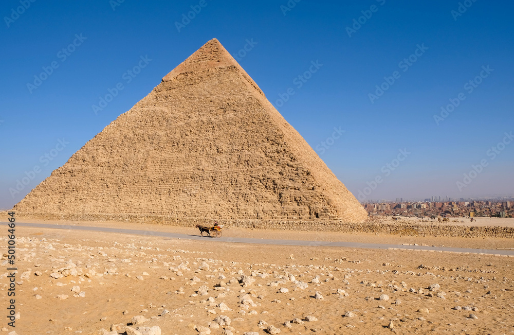 Horse, wagon, Pyramids of Giza. Egypt