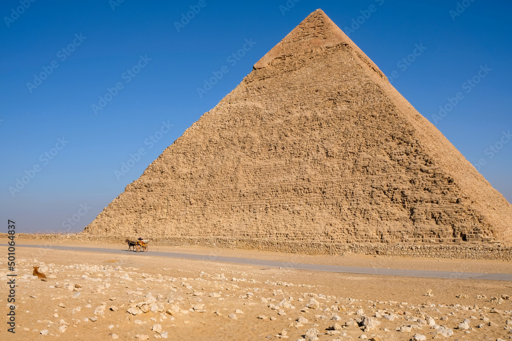 Horse, wagon, Pyramids of Giza. Egypt