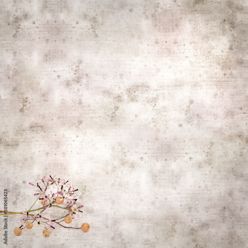 square stylish old textured paper background with pale lilac flowers of Melia azedarach, chinaberry tree
square stylish old textured paper background with pale lilac flowers of Melia azedarach, chinaberry tree