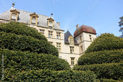 Topiaires devant le château de Fléchères