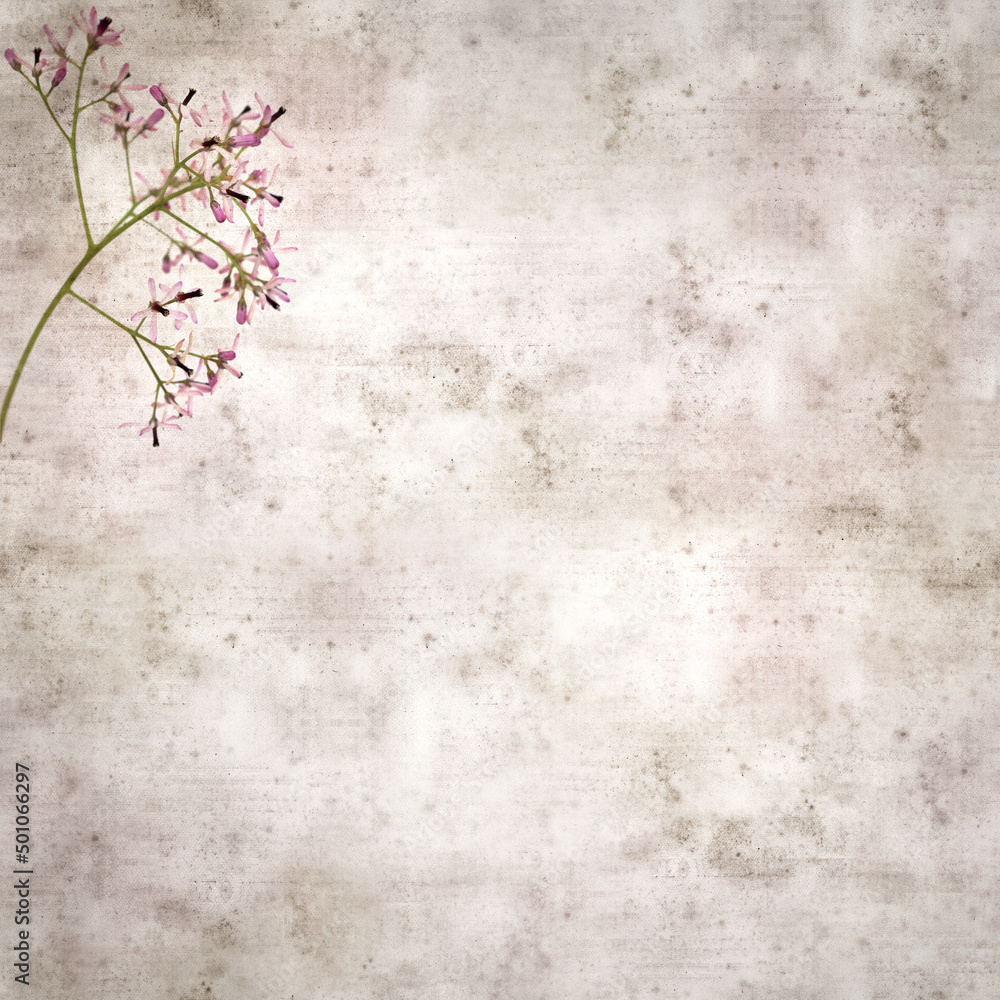 square stylish old textured paper background with pale lilac flowers of Melia azedarach, chinaberry tree
square stylish old textured paper background with pale lilac flowers of Melia azedarach, chinaberry tree