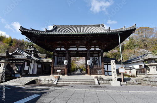 Obraz na płótnie 春の石山寺 東大門 滋賀県大津市